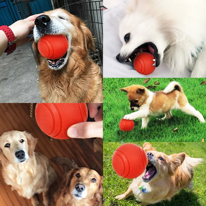 HOOPET Bite-Resistant Rubber Dog Ball